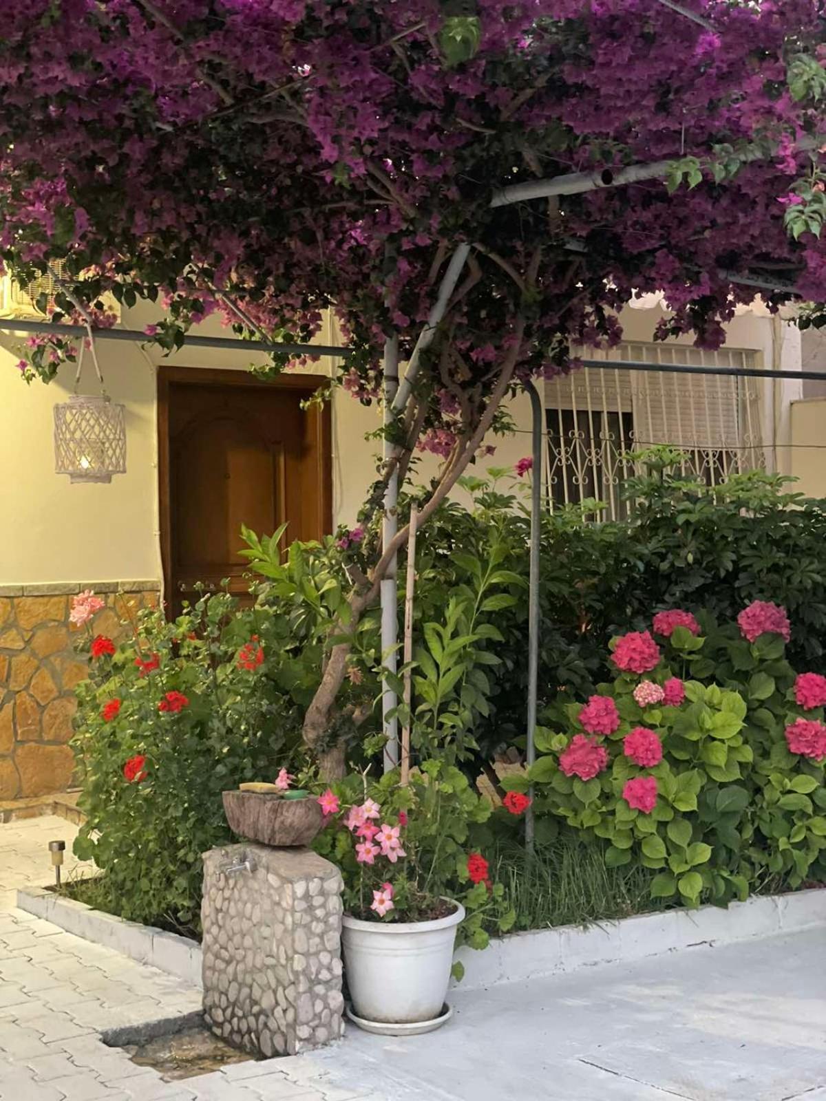 Apartments Athina Орикум Экстерьер фото